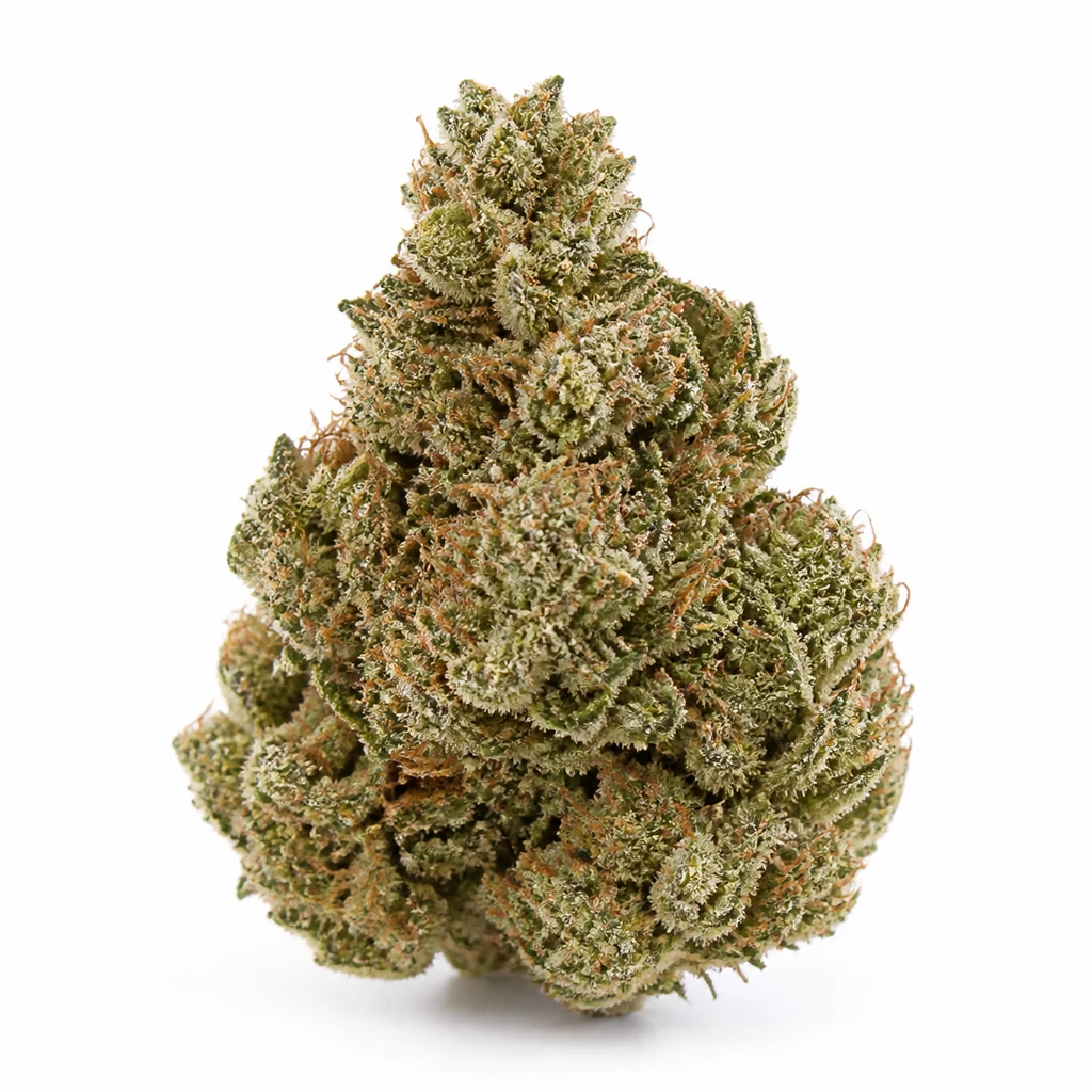 Ilustración de un cogollo ancho de punta estrecha, verde y con abundantes tricomas claros, para la ficha de So G Kush Feminizada.