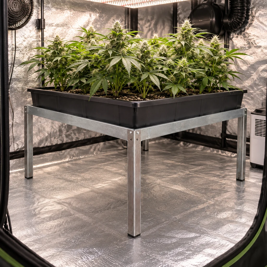 Soporte de cuatro patas metálicas bajo una bandeja negra con plantas, dentro de un armario de cultivo con paredes reflectantes.