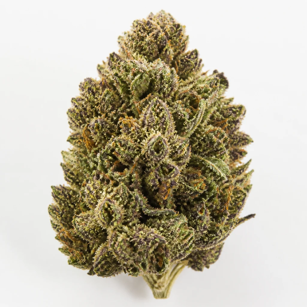 Ilustración de un cogollo verde con tonos morados y pelos anaranjados para la ficha de Sour Grape Punch Feminizada de Elev8 Seeds.