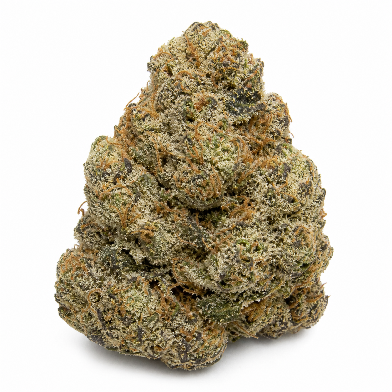 Cogollo Special Skunk Feminizada de Bulk Seeds sobre fondo blanco, de forma cónica, con tonos verdes oscuros y filamentos anaranjados.