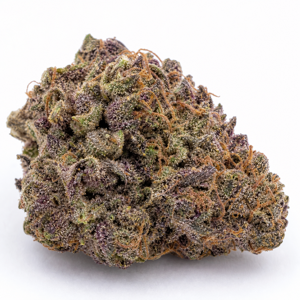 Primer plano de un cogollo de Speed Bud Auto, con zonas verdes y moradas, filamentos anaranjados y abundantes tricomas visibles.