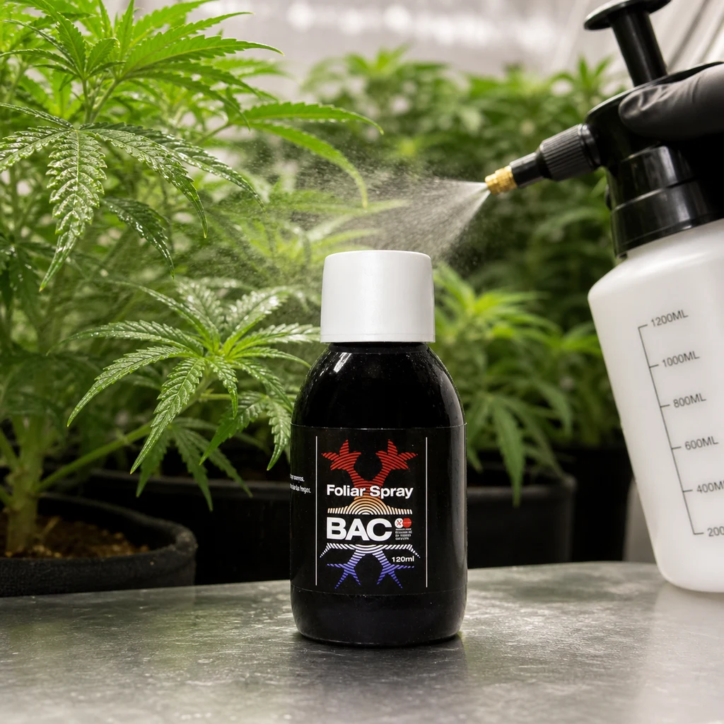 Frasco de Spray Foliar BAC con tapón blanco, junto a un pulverizador manejado por una mano enguantada que rocía plantas de cannabis.