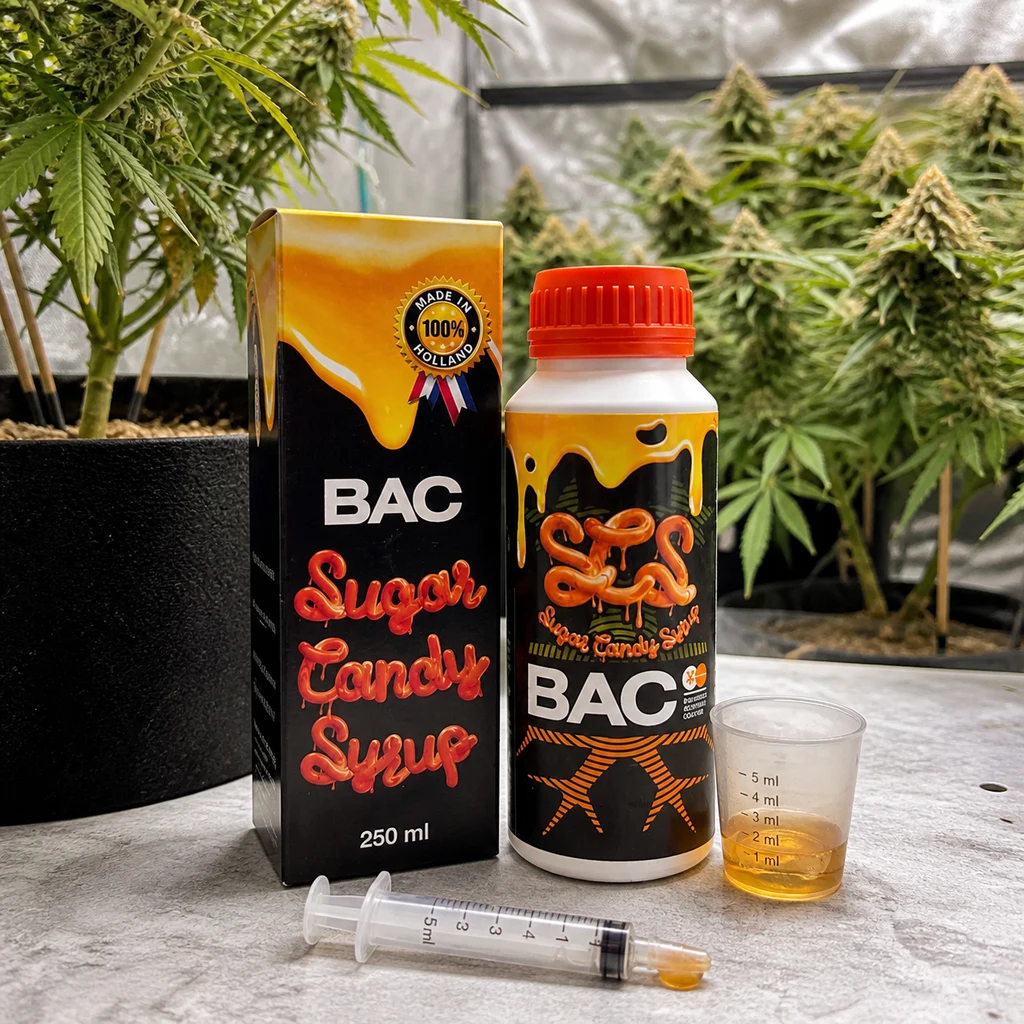 Escena generada de Sugar Candy Syrup B.A.C con caja, botella, vaso con líquido ámbar y jeringa, ante plantas de cannabis.