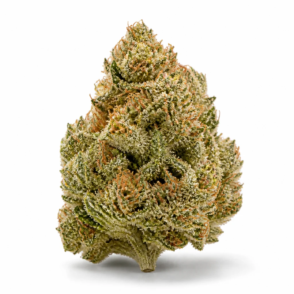 Ilustración de un cogollo verde con filamentos anaranjados y cobertura blanquecina para la ficha de Sunmango Auto – Bulk Seeds.