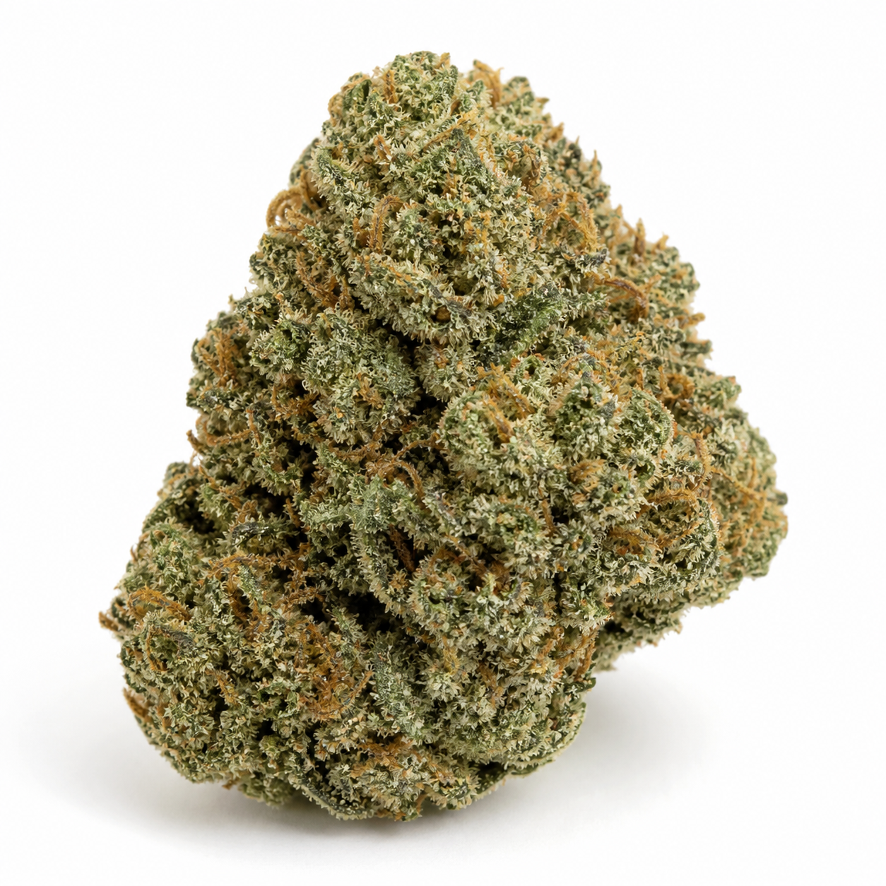 Cogollo de Super Bud Auto de Green House Seeds en primer plano, con superficie verde resinosa y filamentos anaranjados sobre fondo blanco.