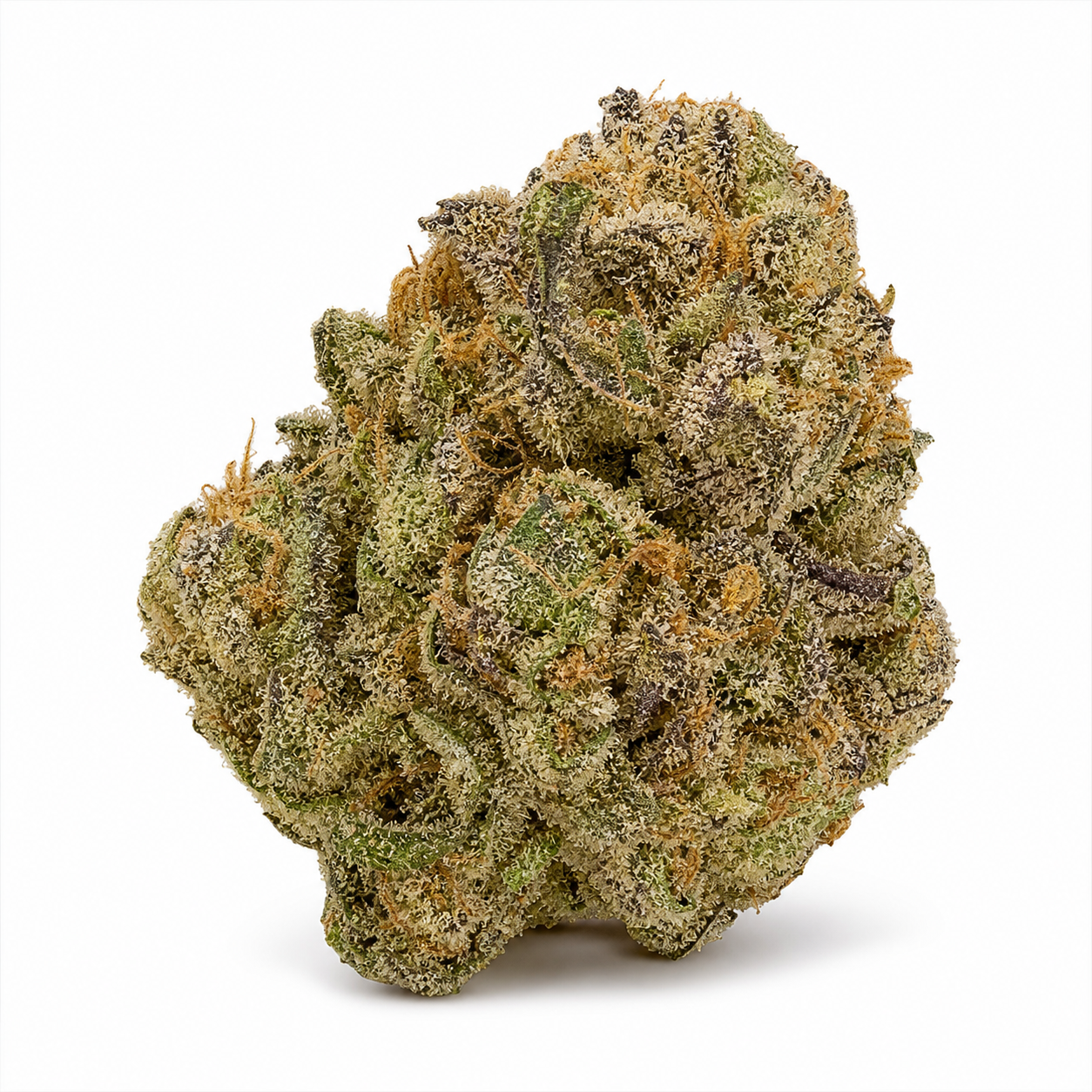 Cogollo de Super Critical Autofloreciente de Green House Seeds, con tonos verdes y oscuros y filamentos anaranjados sobre fondo blanco.