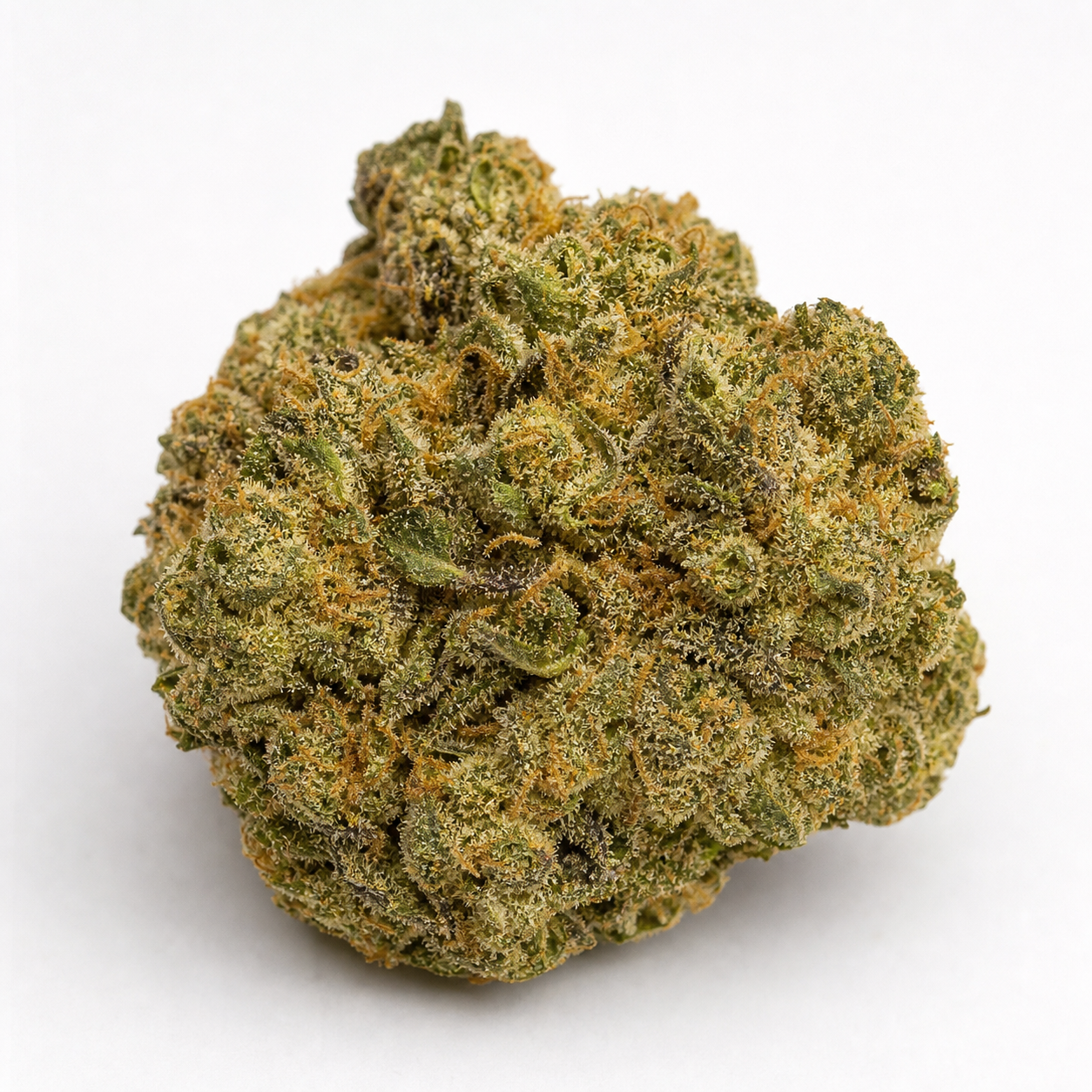 Cogollo de Special Lime Haze de Bulk Seeds en primer plano, con tonos verdes, pistilos anaranjados y abundantes tricomas sobre fondo blanco.