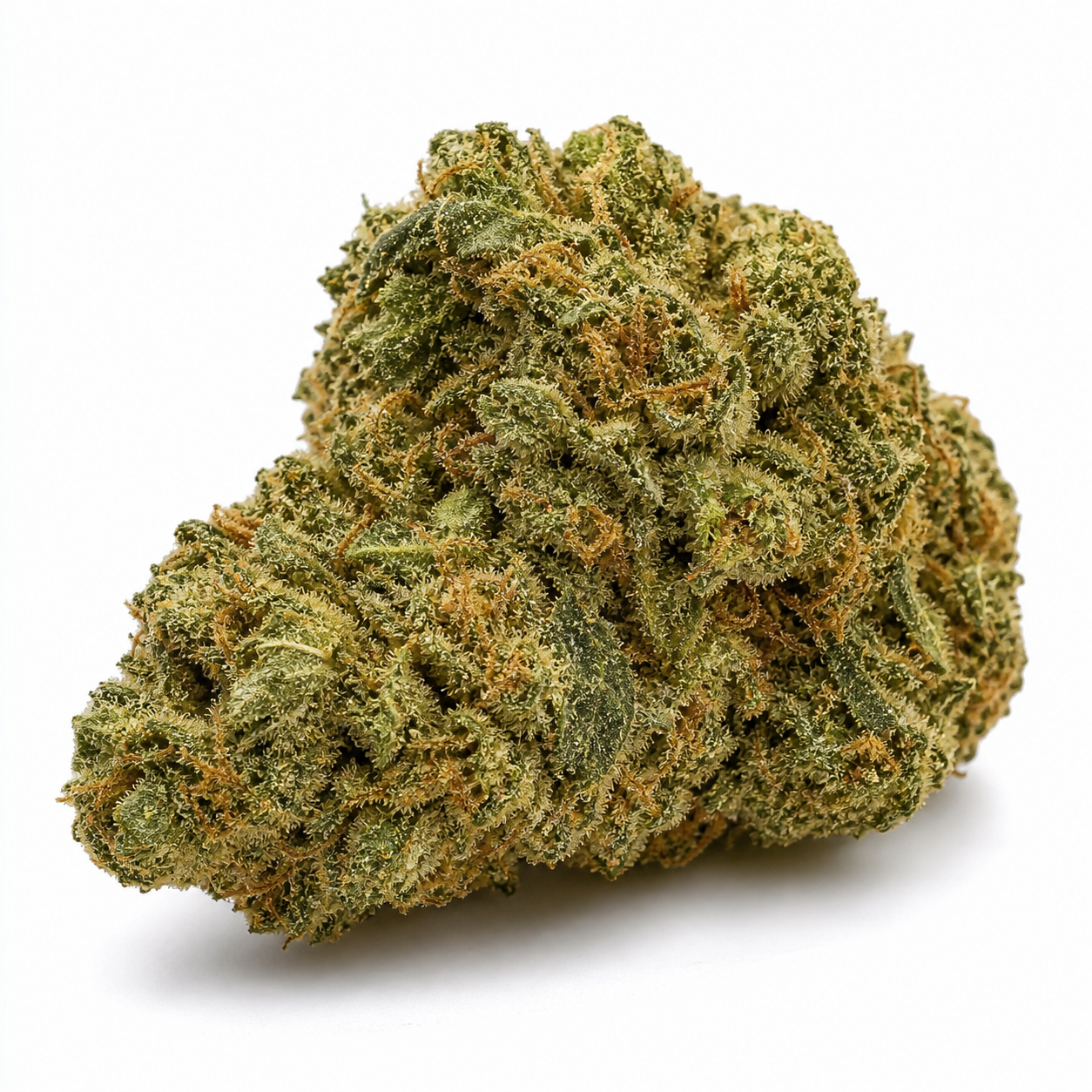 Cogollo de Super Silver Haze de Mr. Nice en primer plano, de perfil alargado, con hojas verdes, filamentos anaranjados y tricomas visibles.