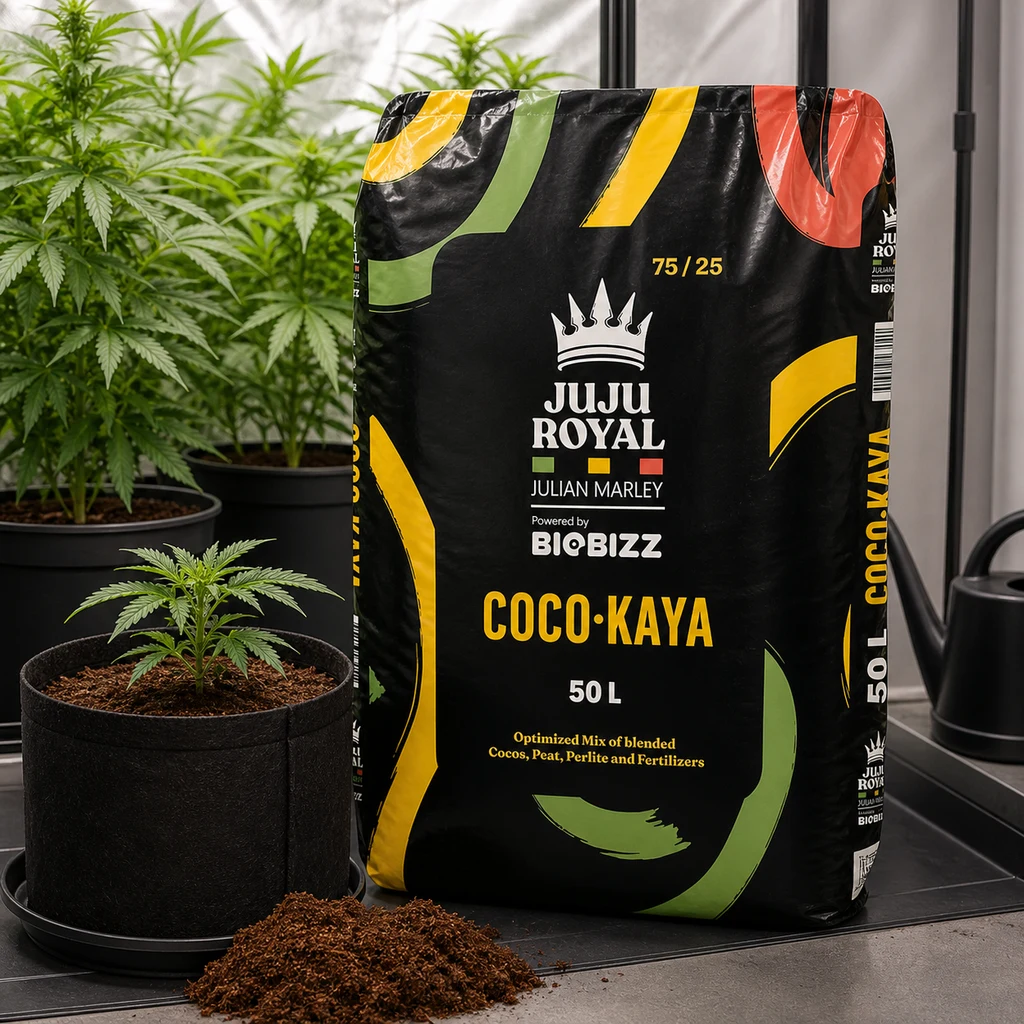 Saco negro Coco Kaya de Juju Royal y Biobizz, rotulado 50 L, junto a una planta en maceta textil y un montón de sustrato.