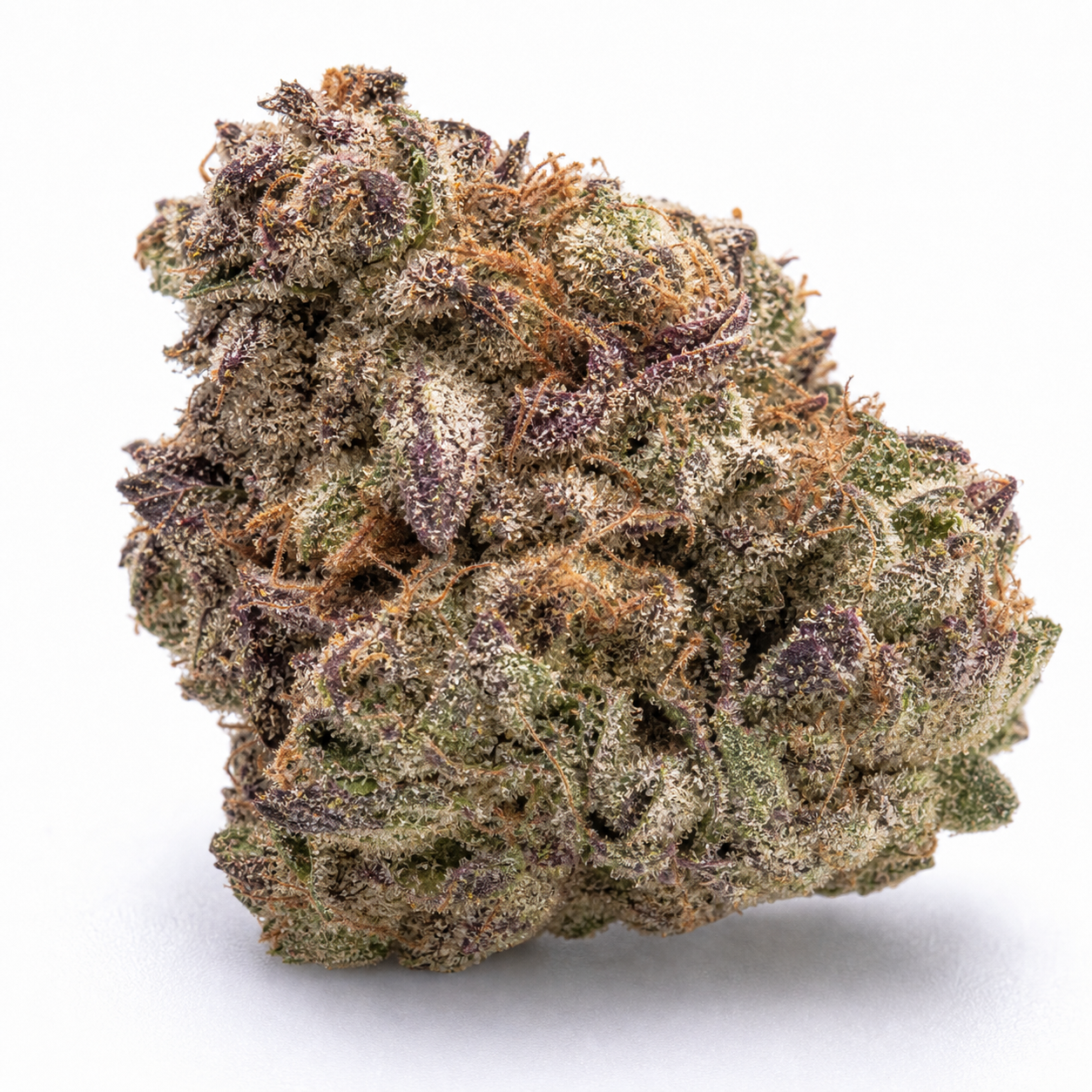 Primer plano de un cogollo de Auto Somango Glue de Advanced Seeds, con hojas verdes y moradas, filamentos anaranjados y numerosos tricomas.