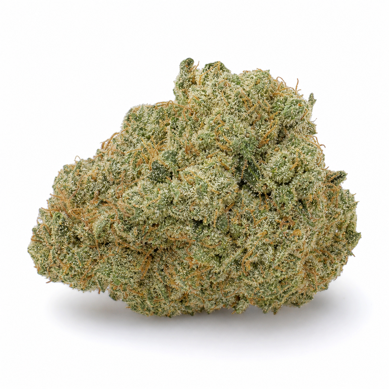 Cogollo de Sweet Tooth Auto de Bulk Seeds, ancho y compacto, con tonos verdes, filamentos anaranjados y superficie blanquecina sobre fondo blanco.