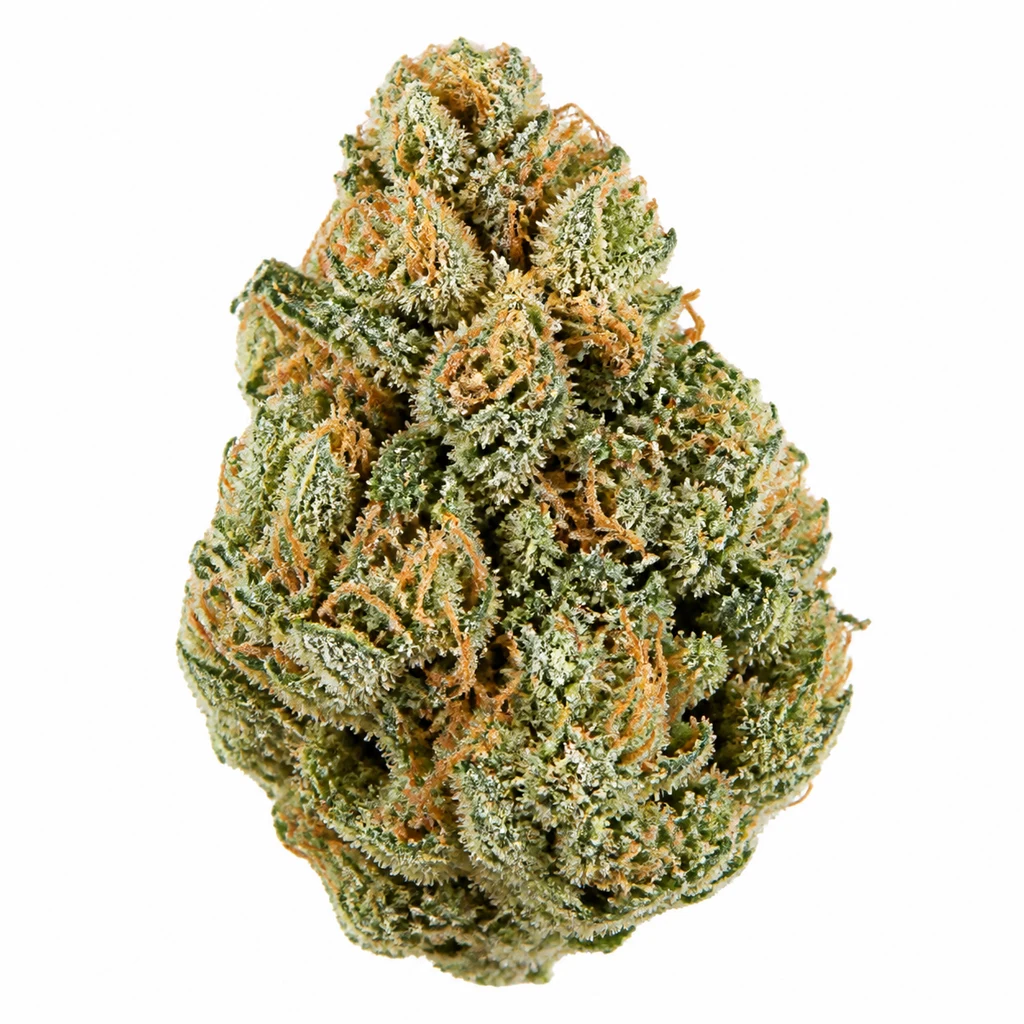 Ilustración de un cogollo verde con filamentos anaranjados y superficie blanquecina para la ficha de Tangerine Sugar Feminizada de Sensi Seeds.