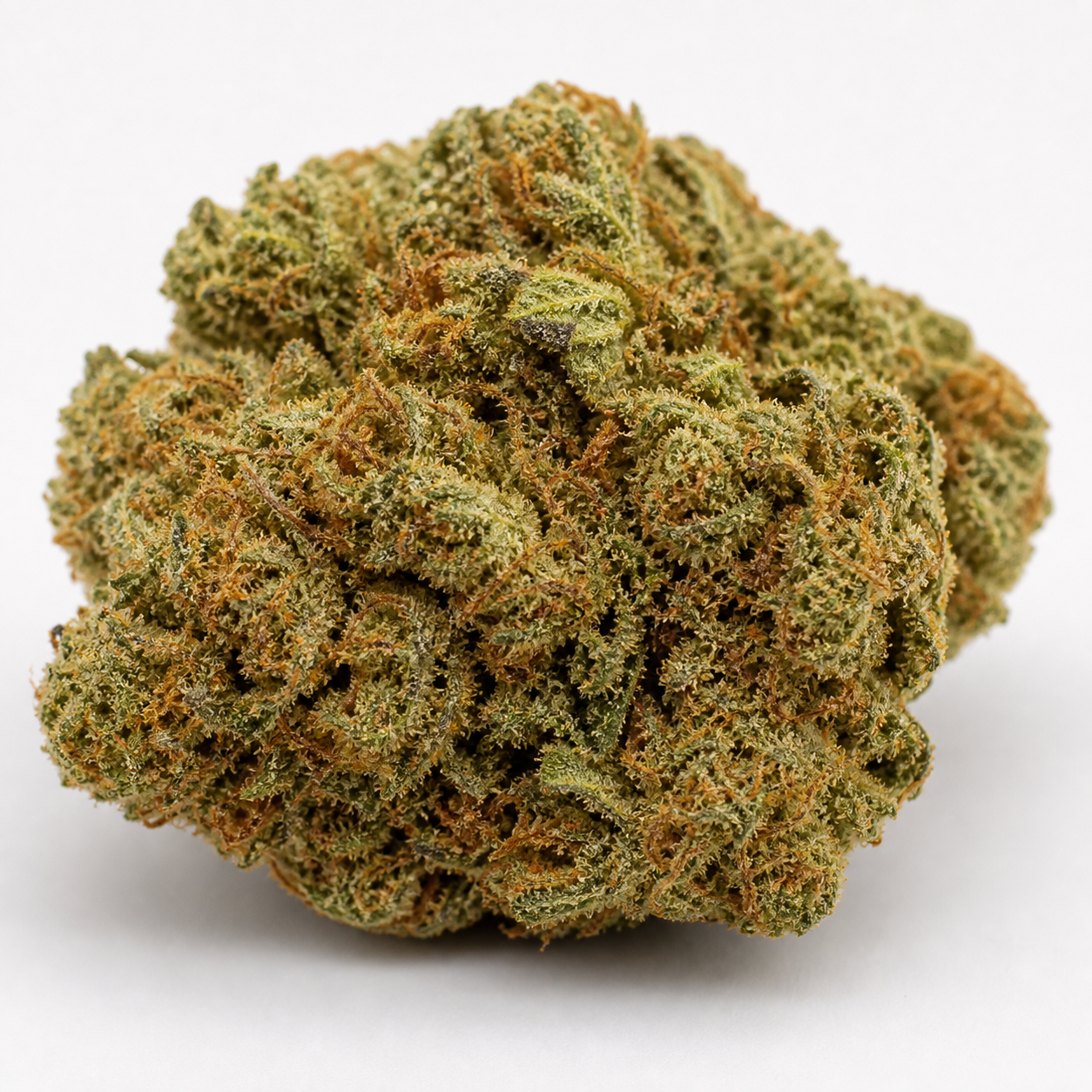 Cogollo de Tangie Auto de Blimburn Seeds, de forma redondeada, con tonos verdes y abundantes pistilos anaranjados sobre fondo blanco.