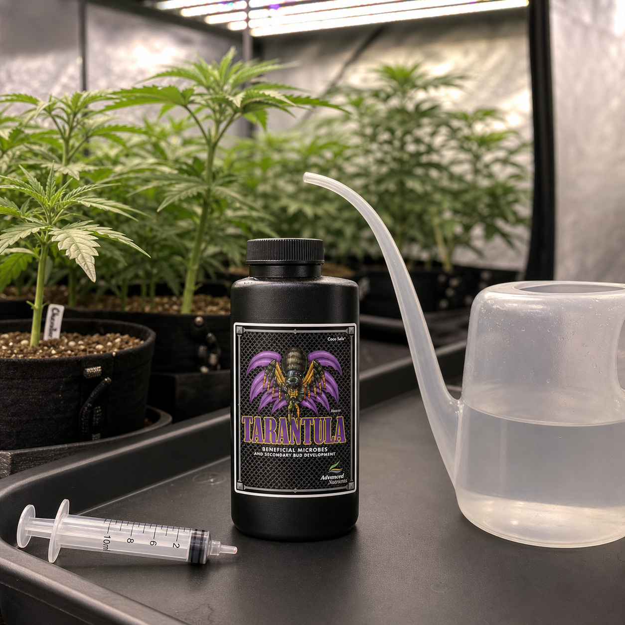 Bote negro de Tarantula Advanced Nutrients junto a una jeringa y una regadera translúcida, con plantas de cannabis al fondo.