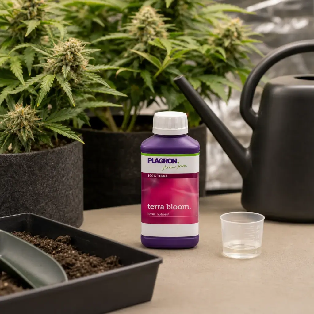 Botella morada de Terra Bloom Plagron junto a un vaso medidor, una regadera y macetas con plantas de cannabis en floración. Botella morada de Terra Bloom Plagron junto a un vaso medidor, una regadera y macetas con plantas de cannabis en floración.