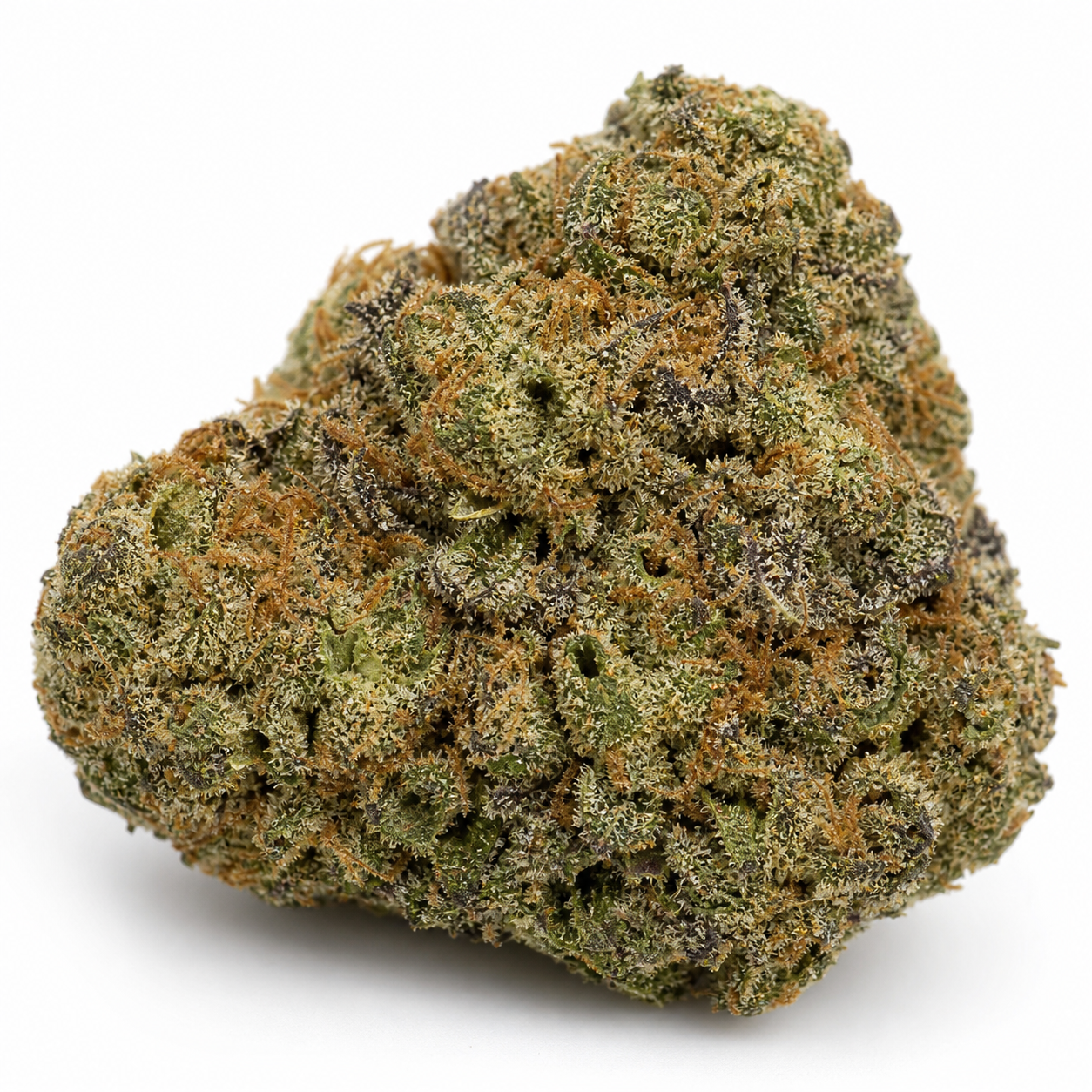 Cogollo de The Bling Feminizada sobre fondo blanco, de forma ancha, con tonos verdes y oscuros, filamentos anaranjados y tricomas claros.