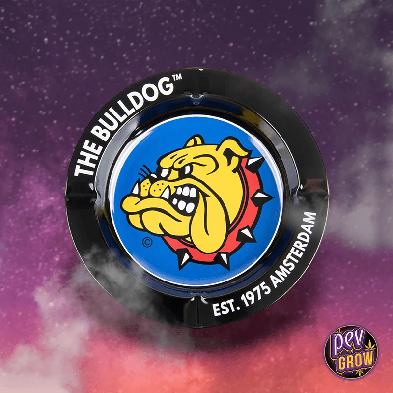 Cenicero negro The Bulldog Original con un bulldog amarillo sobre fondo azul y el texto «EST. 1975 AMSTERDAM» en el borde.