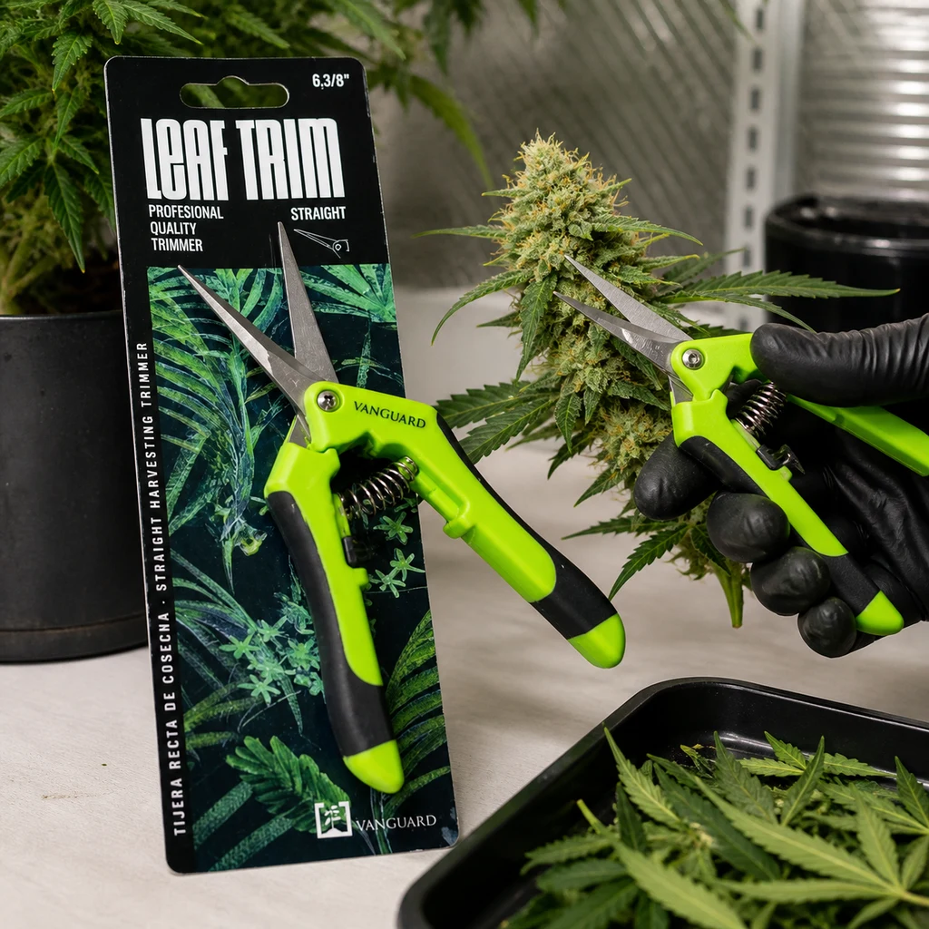 Tijeras Leaf Trim de punta recta y mangos verdes en su envase; una mano enguantada acerca otras tijeras a un cogollo de cannabis.