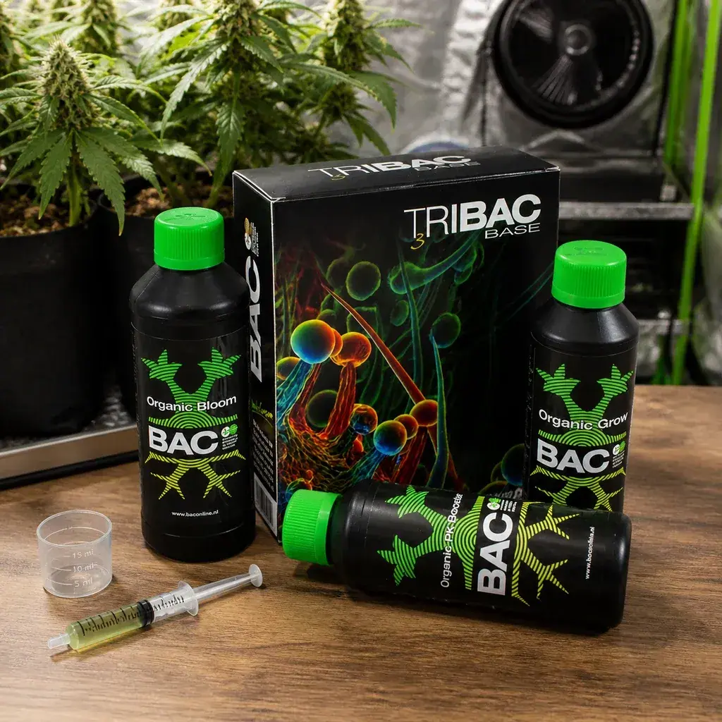 Kit Tribac BAC con caja, botellas de tapón verde, vaso dosificador y jeringa sobre una mesa, con plantas y ventilador al fondo.
