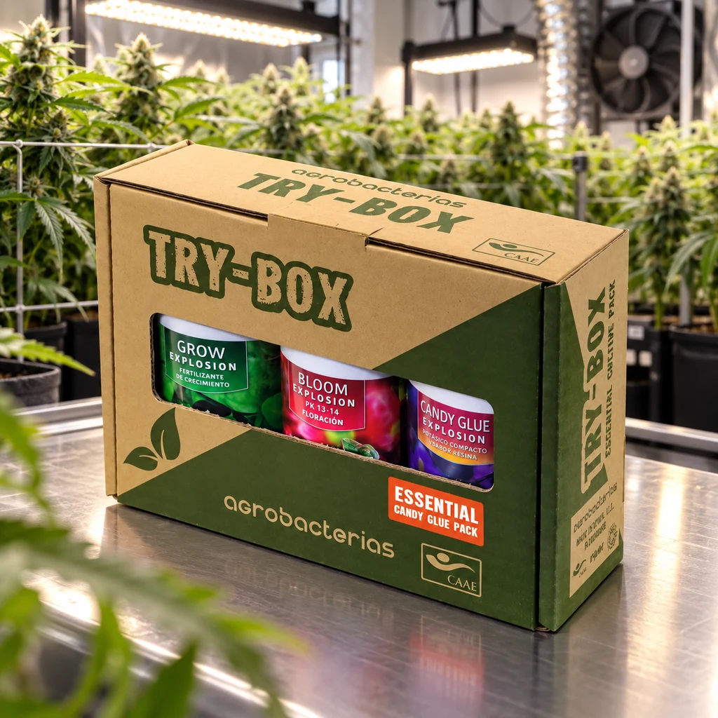 Caja TryBox Essential Candy Glue Pack de Agrobacterias con envases visibles por una ventana, en una sala de cultivo iluminada.