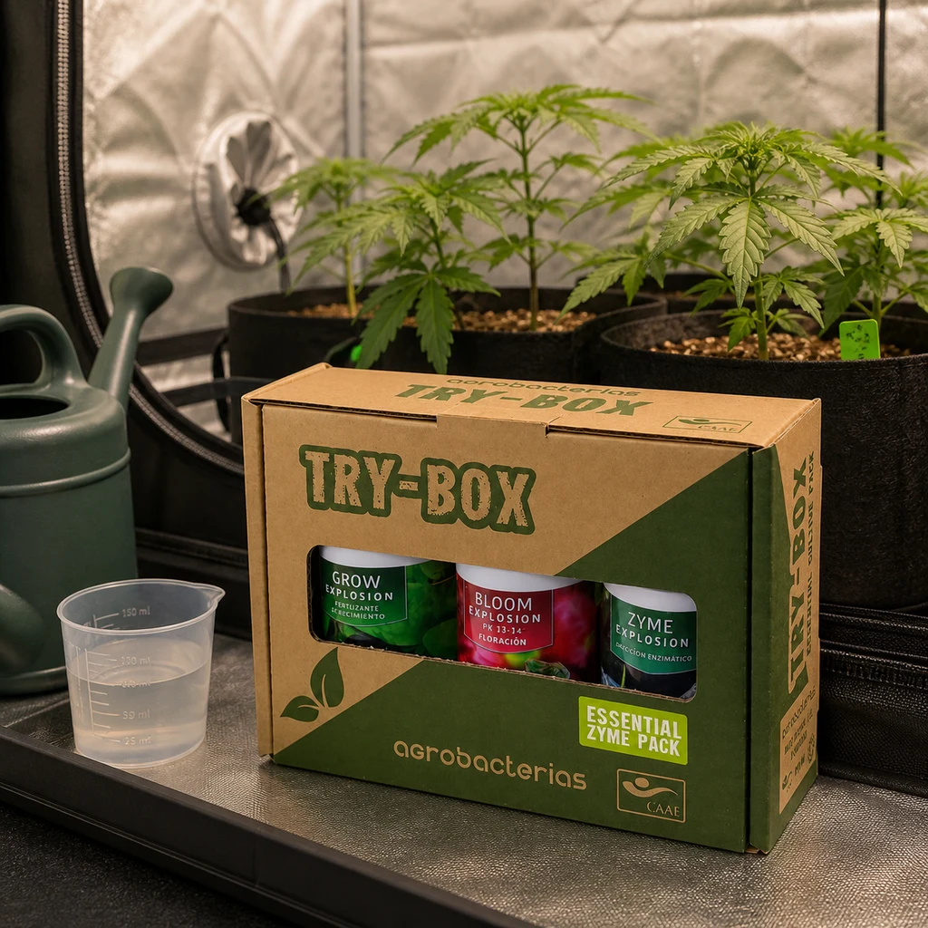 Caja TryBox Essential Zyme Pack con envases visibles, junto a un vaso medidor y una regadera, con plantas en un armario de cultivo al fondo. Caja TryBox Essential Zyme Pack con envases visibles, junto a un vaso medidor y una regadera, con plantas en un armario de cultivo al fondo.