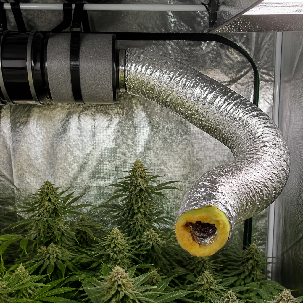 Tubo de ventilación plateado y curvado dentro de un armario de cultivo, con aislamiento amarillo visible en el extremo y plantas debajo.