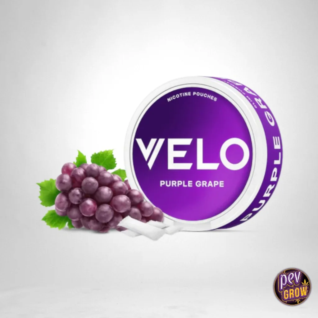 VELO Groovy Grape 6MG VELO Groovy Grape 6MG