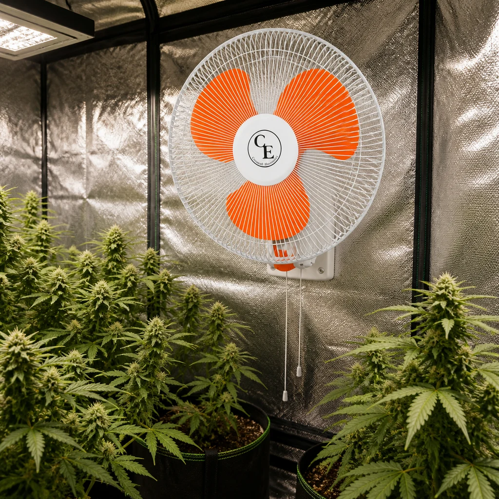 Ventilador de pared con rejilla blanca, aspas naranjas y cuerdas de tiro, situado sobre plantas en un armario de cultivo reflectante.