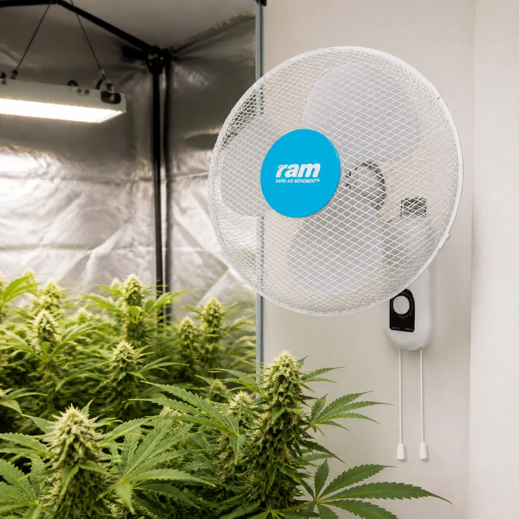 Ventilador de pared RAM blanco, con rejilla circular y cordones de control, junto a plantas en un espacio de cultivo interior.