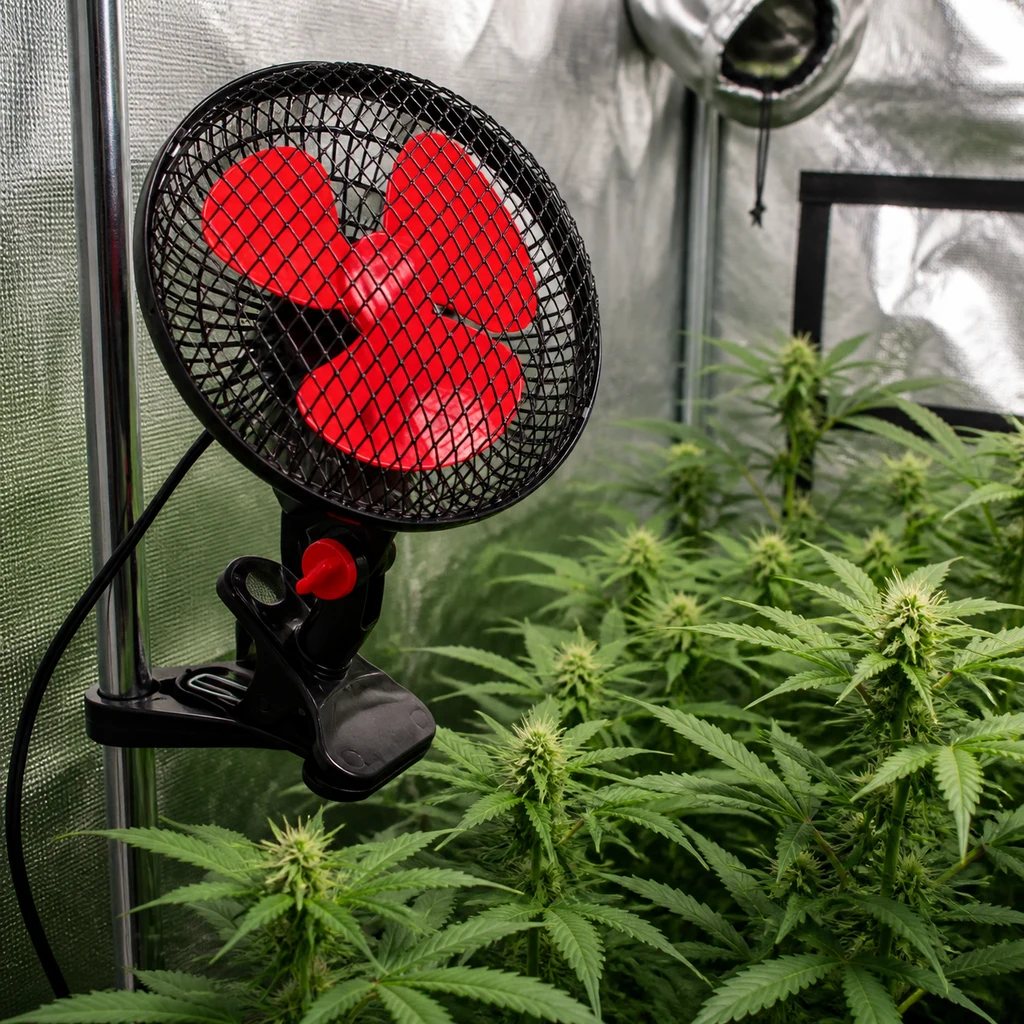 Ventilador Clip-On Cyclone con rejilla negra y aspas rojas, sujeto a una barra de un armario reflectante junto a plantas de cannabis. Ventilador Clip-On Cyclone con rejilla negra y aspas rojas, sujeto a una barra de un armario reflectante junto a plantas de cannabis.