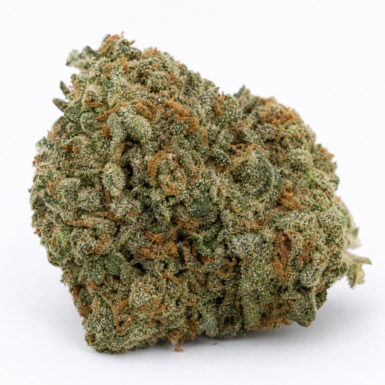 Cogollo de Wild Dwarf Auto en primer plano, ancho e irregular, con hojas verdes, pistilos anaranjados y tricomas claros sobre fondo blanco.