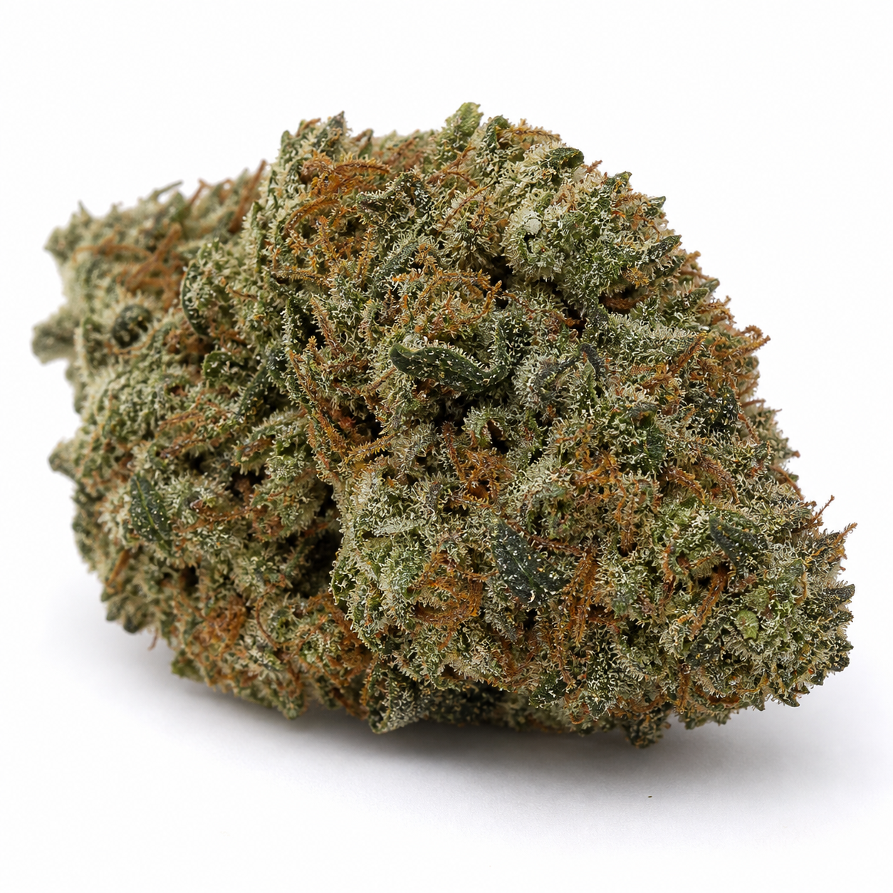 Cogollo de White Walker Kush Feminizada en primer plano, con hojas verdes, filamentos anaranjados y abundantes puntos blanquecinos sobre fondo blanco.