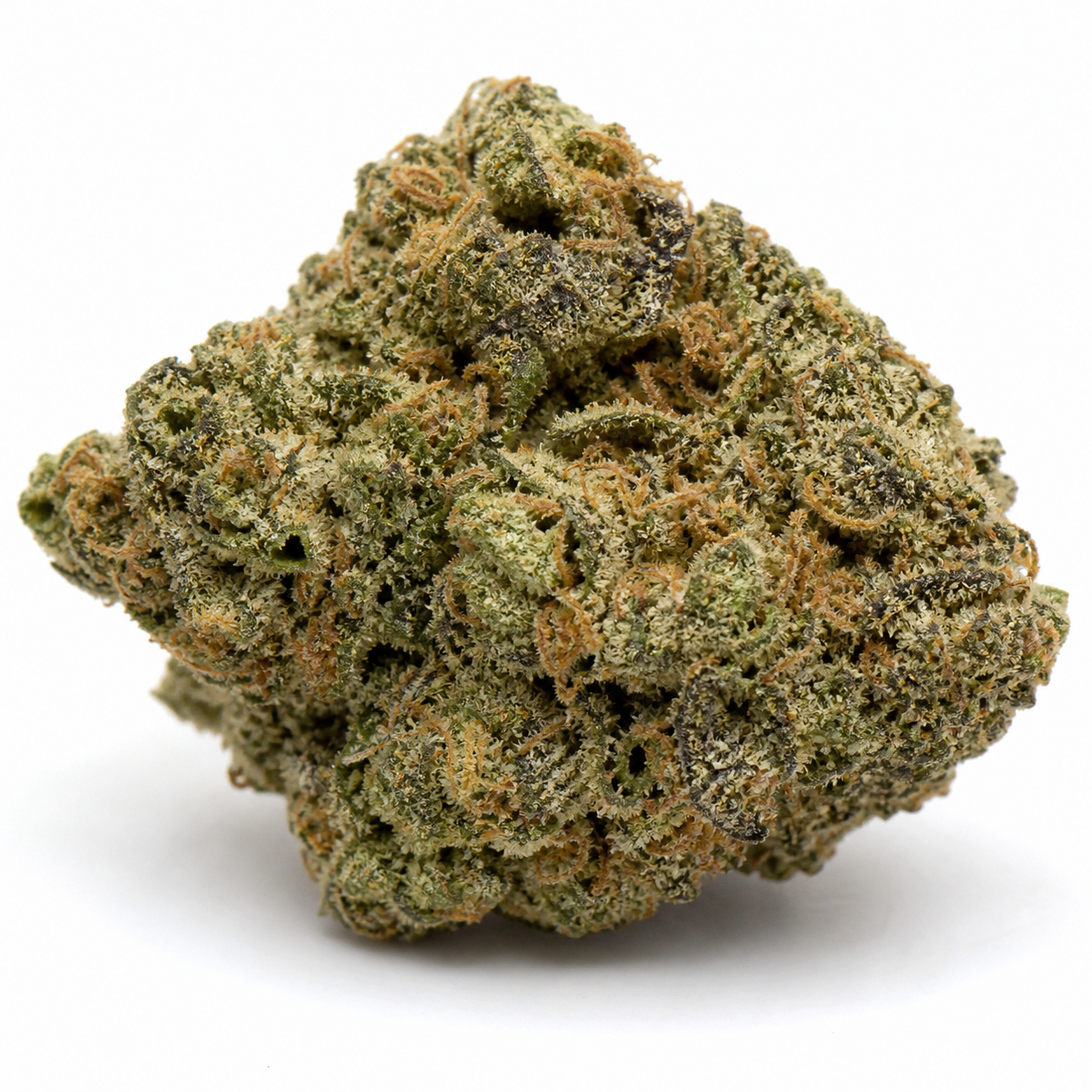 Cogollo de White Widow Auto sobre fondo blanco, con forma irregular, hojas verdes y oscuras, filamentos anaranjados y tricomas claros.