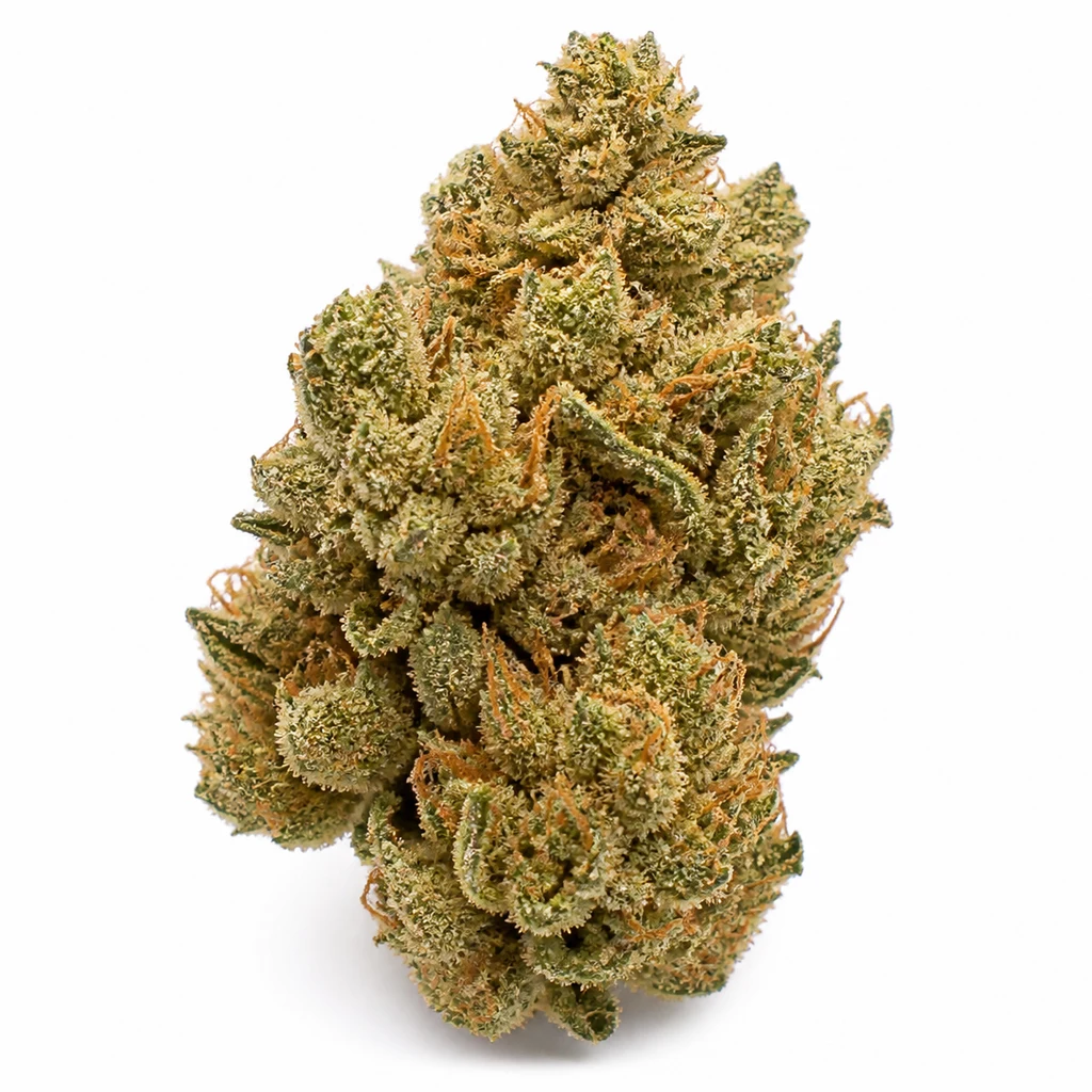 Ilustración de un cogollo verde con filamentos anaranjados y superficie resinosa para la ficha de White Widow Auto – Vision Seeds, sobre fondo blanco.
