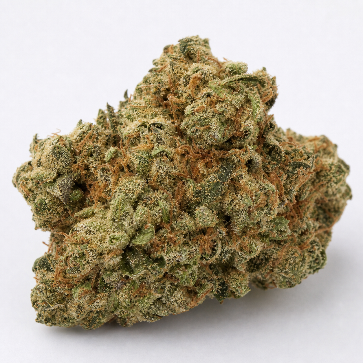 Cogollo de White Widow Feminizada de Bulk Seeds en primer plano, con tonos verdes, filamentos anaranjados y abundante cobertura blanquecina.