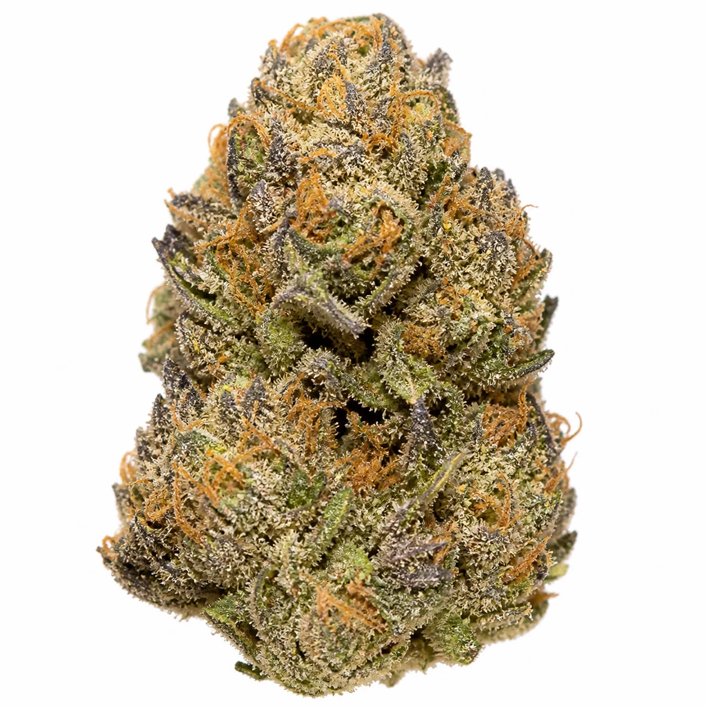 Ilustración de un cogollo verde y morado con tricomas claros y pistilos naranjas para la ficha de Zombie Kush x The White Feminizada de Ripper Seeds.