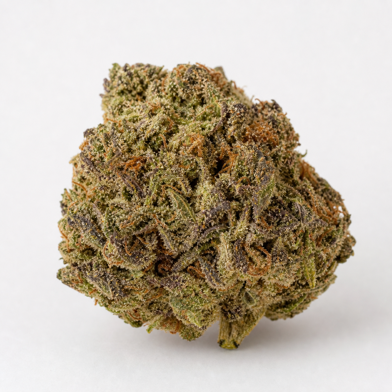 Primer plano de un cogollo de Ztrawberriez Auto de Fast Buds, con tonos verdes y morados, filamentos anaranjados y superficie resinosa.