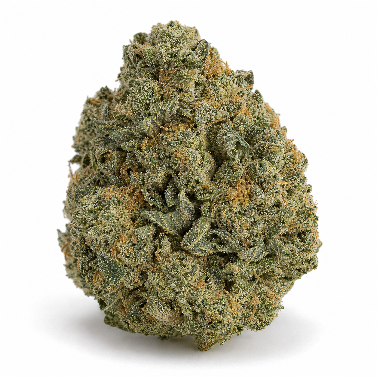 Cogollo de Ztrawberry Feminizada de Green House Seeds, de contorno compacto, con hojas verdes y pistilos anaranjados sobre fondo blanco.